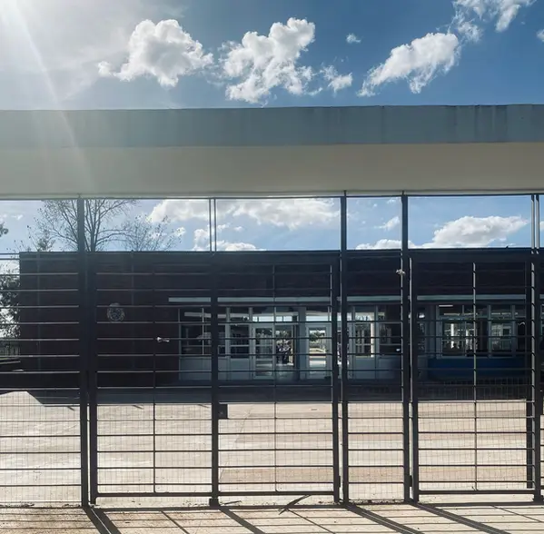 Por qué seguimos yendo a las escuelas después de 30 años